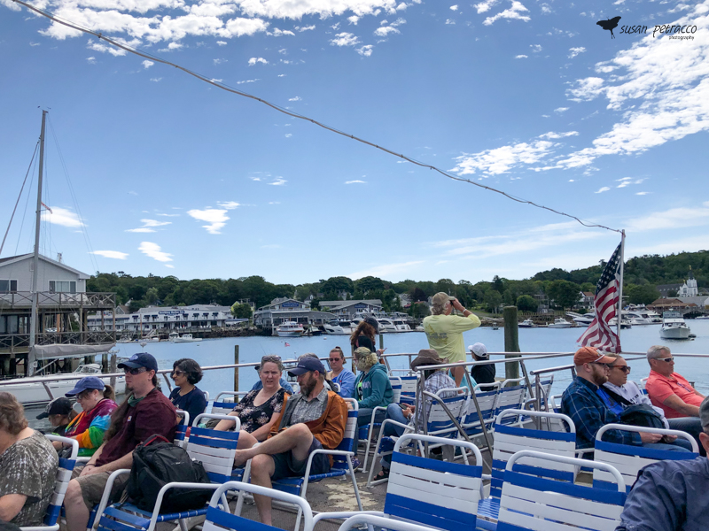 Upper deck of the Cap'n Fish's Cruises boat for a puffin tour in Maine