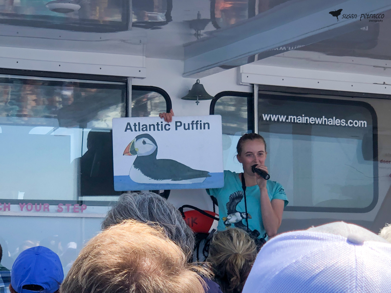 Audubon society speaker teaching us about puffins