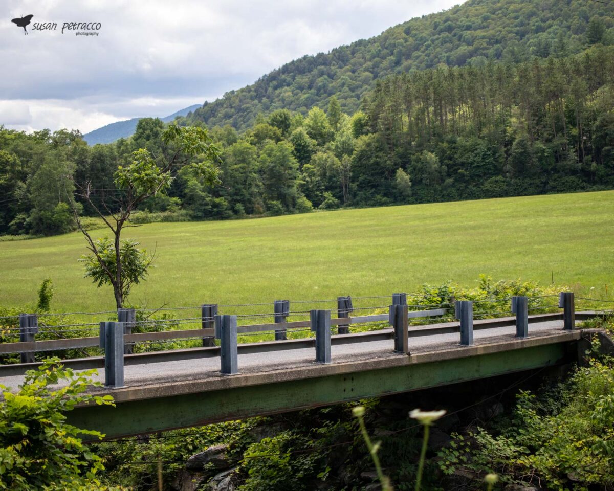 Scene from our road trip along Vermont Route 100