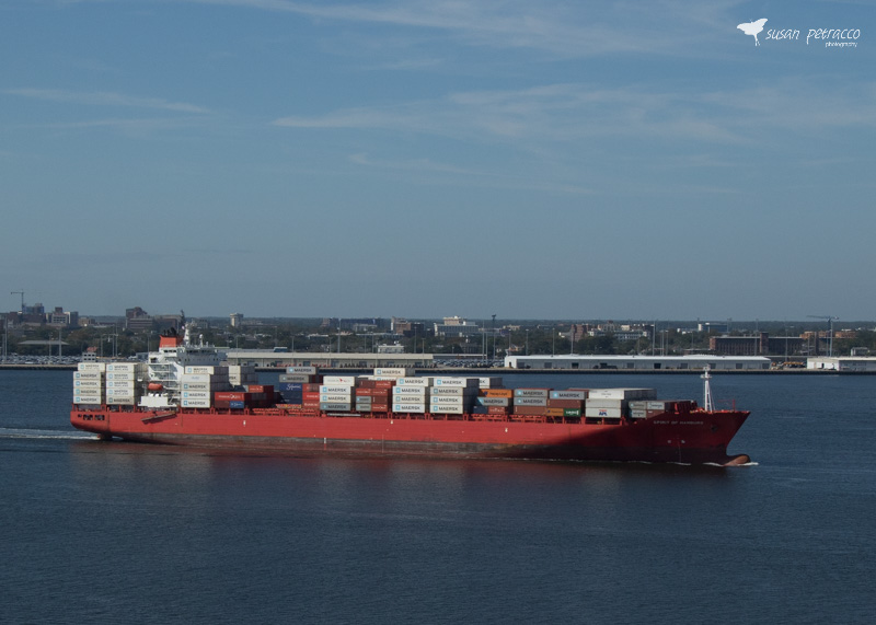 Container cargo ship