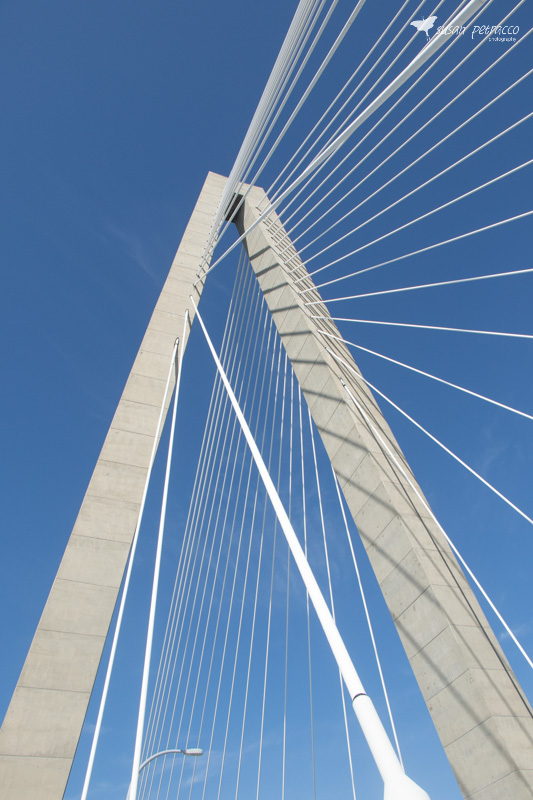 The Ravenel Bridge supports