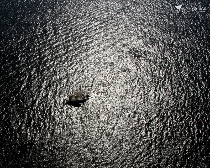 Boat in the water