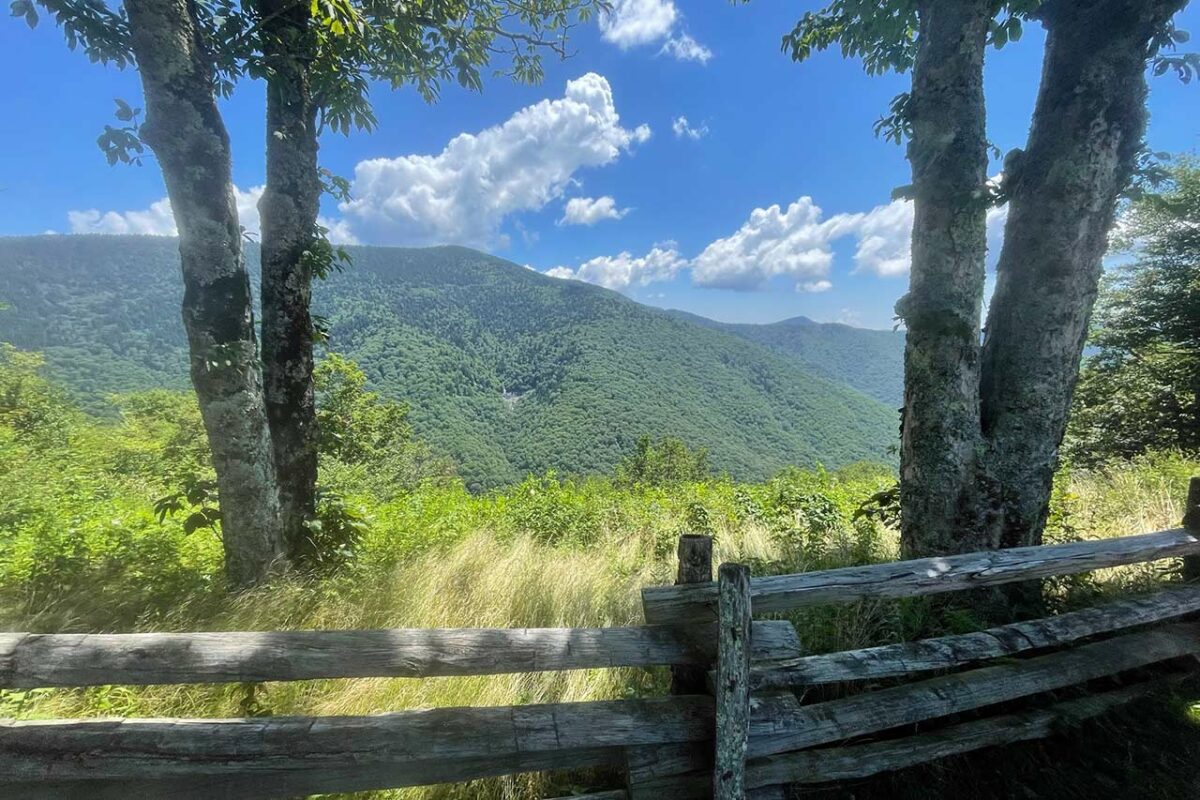 Glassmine Falls overlook from the Blue Ridge Parkway