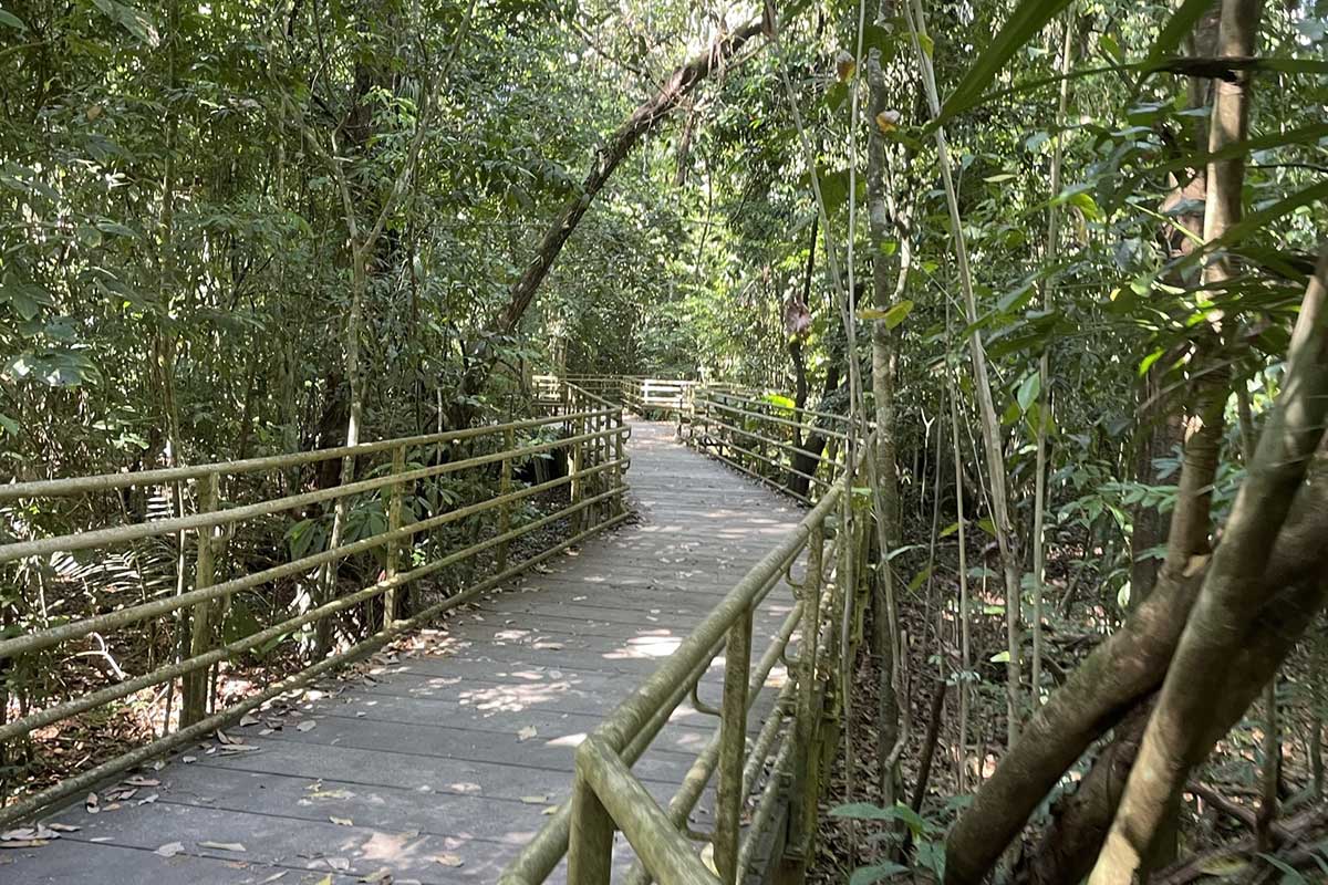 A boardwalk in the Manuel Antonio National Park