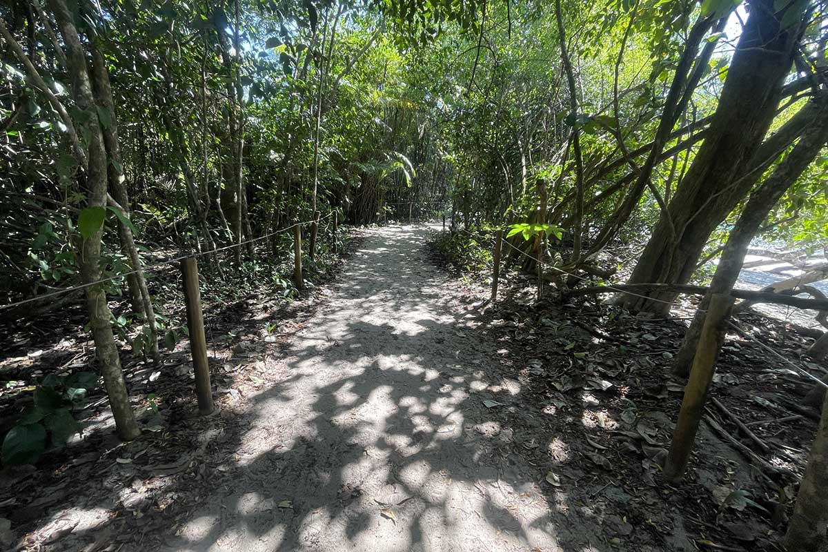 A hiking trail in the Manuel Antonio National Park