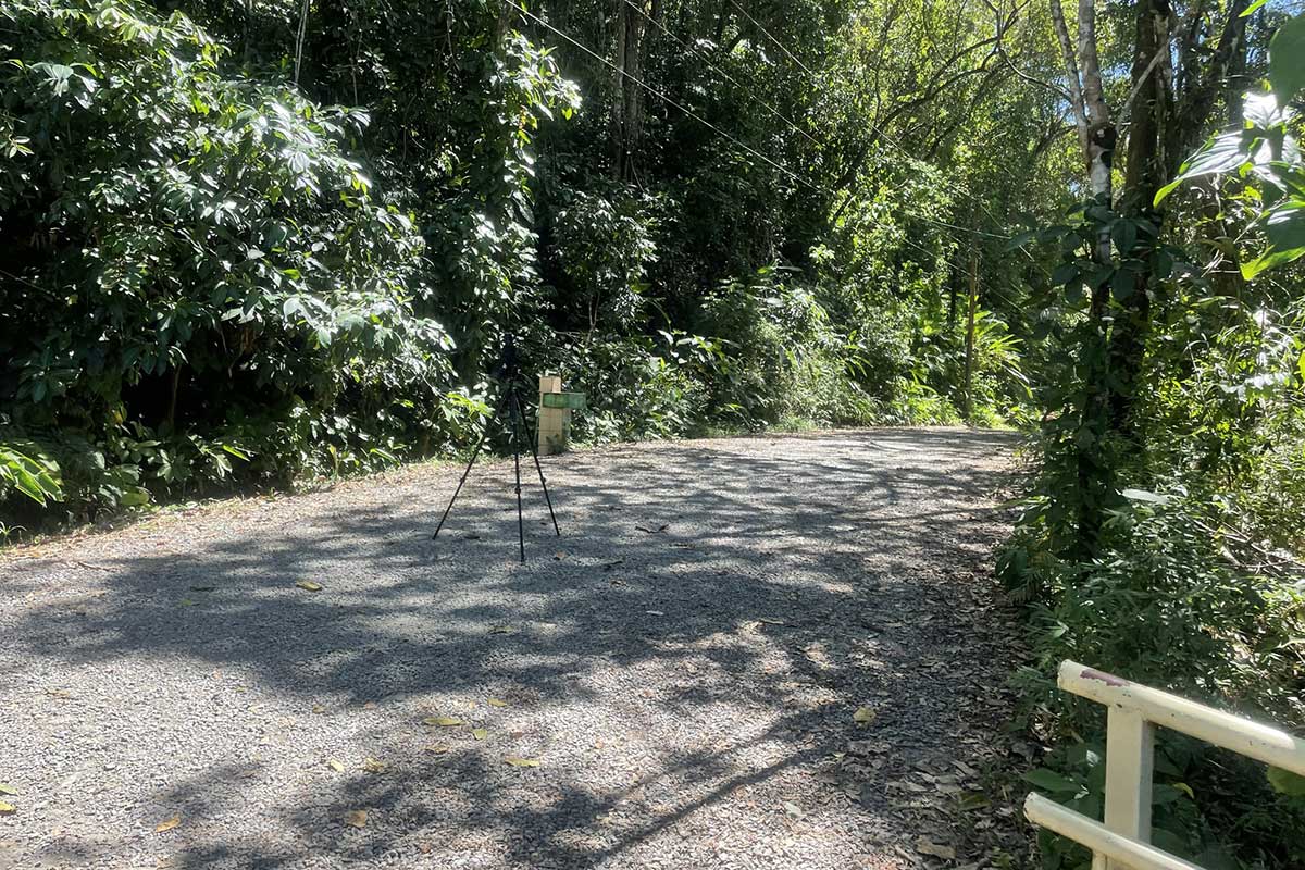 Main road through Manuel Antonio National Park