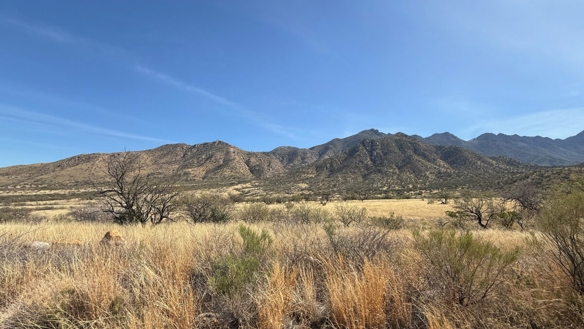 The Santa Rita Mountains as seen from Madera Canyon