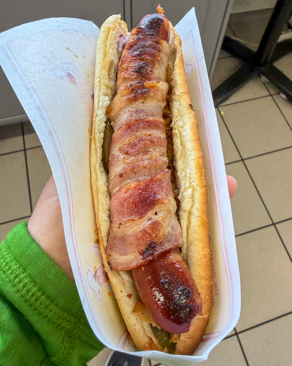 A bacon-wrapped Icelandic hot dog as handed to me. There are pickles, raw onions, and fried onions under the bacon-wrapped hot dog.