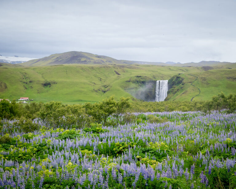 Iceland 2026 – The South
